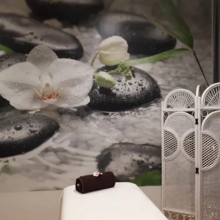 찰스코 셀로 스파-호텔 호텔 4*