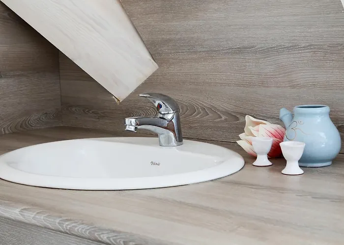 فندق تسارسكو سيلو سبا 4*