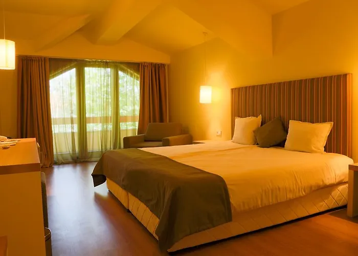 ホテル Tsarsko Selo 4*